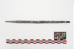Foto von Eisenraspel (NHMW-PRAE-025089)